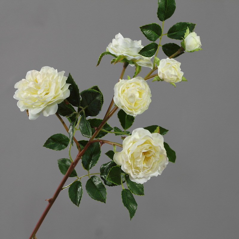 Cành hoa hồng Rose X6 mã hàng HL012