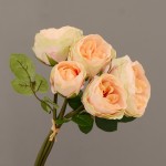 Bó hoa hồng 6 bông mã hàng HL080
