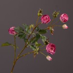 Cành Hoa hồng mã hàng HL091