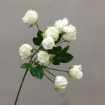 Hoa hồng nhỏ ngọt mã hàng HL130