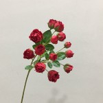 Hoa hồng nhỏ ngọt mã hàng HL130