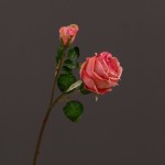 Cành hoa hồng một nụ mã hàng HL136