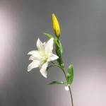 Cành hoa ly mã hàng HL179