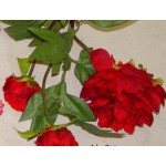 Hoa Mẫu Đơn lụa cao cấp - màu,hồng xanh,trái cam,trắng,đào,hồng đỏ,đỏ tươi