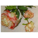 Hoa Mẫu Đơn lụa cao cấp - màu,hồng xanh,trái cam,trắng,đào,hồng đỏ,đỏ tươi