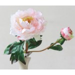 Hoa mẫu đơn lụa cao cấp - màu là trắng, hồng trắng, đỏ hồng nhạt và đỏ hồng đậm